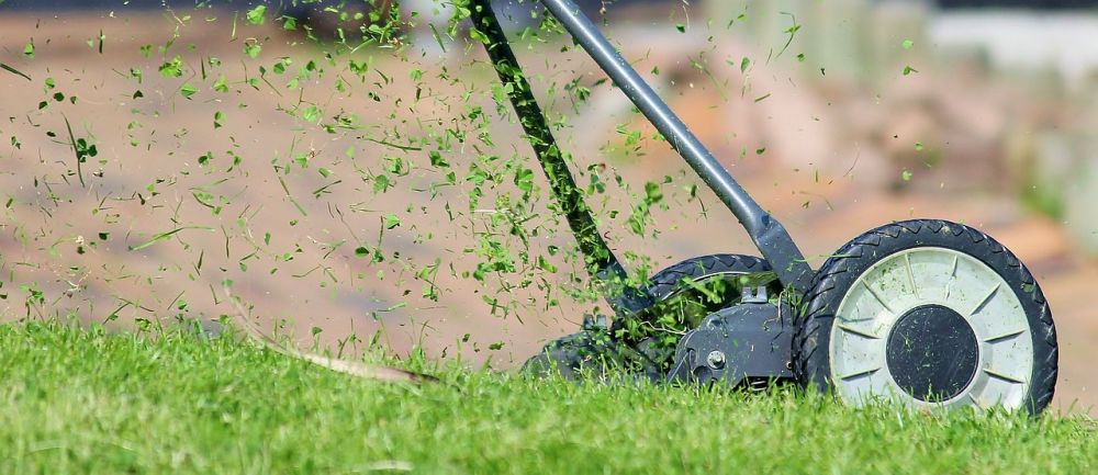 Gräsklippning på Gotland: tips för att hålla din trädgård vacker och välskött