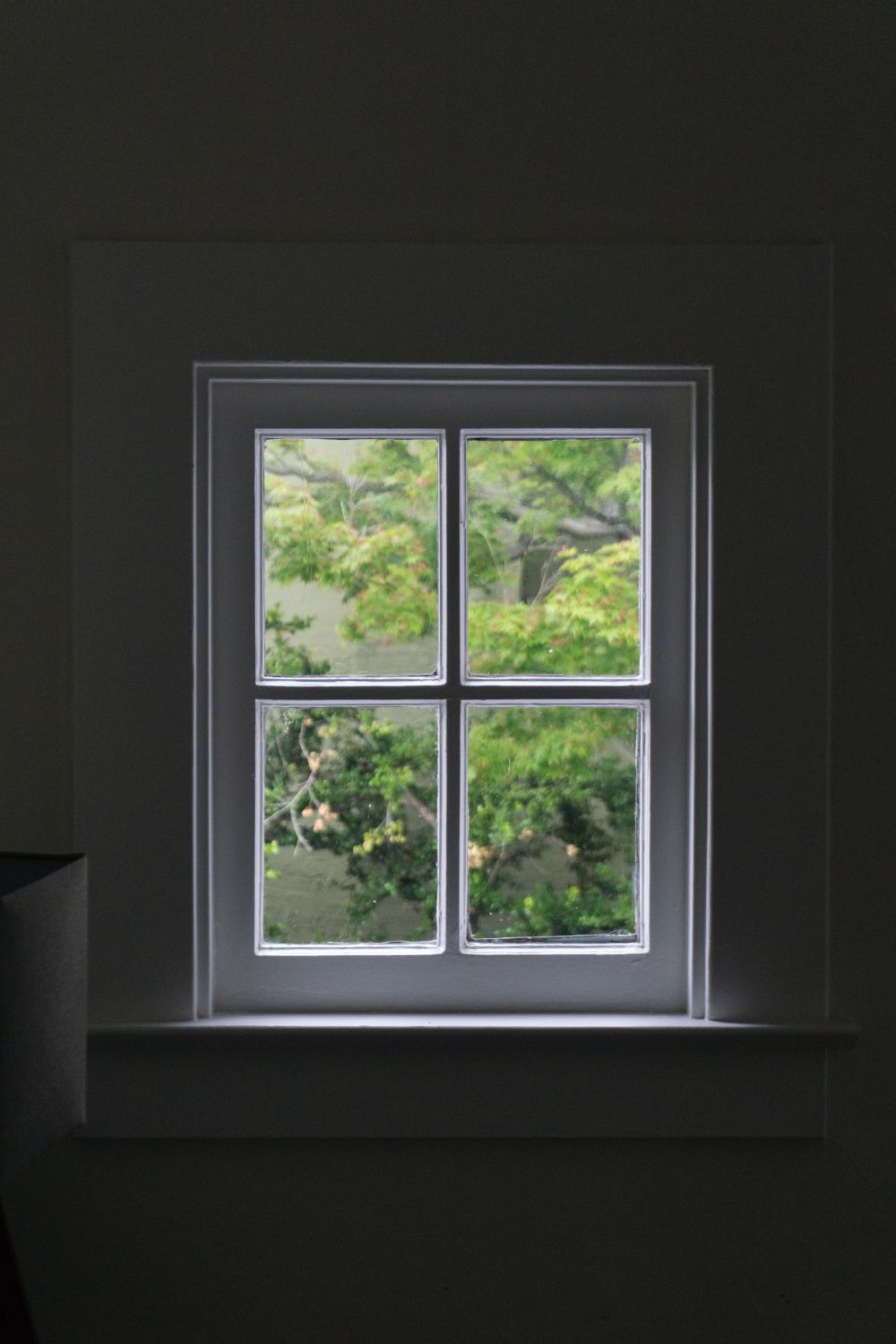 Fönsterputsning: En guide till skinande rena fönster