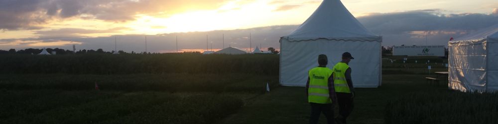 Invasiva växter i skåne  ett växande problem i landskap och trädgårdar