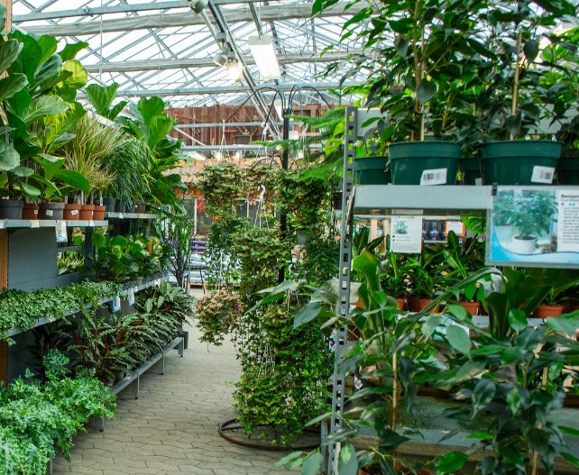 Blomsterbud i Lilla Edet - så väljer du rätt bukett för varje tillfälle