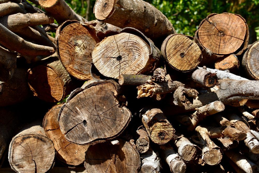 Arborist huddinge  trygg och hållbar skötsel av träd i villaträdgården