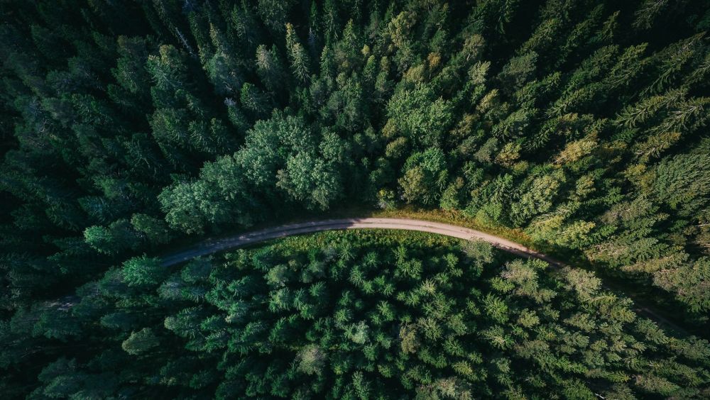 Markberedning nässjö  grunden för hållbart skogsbruk och stabila markprojekt